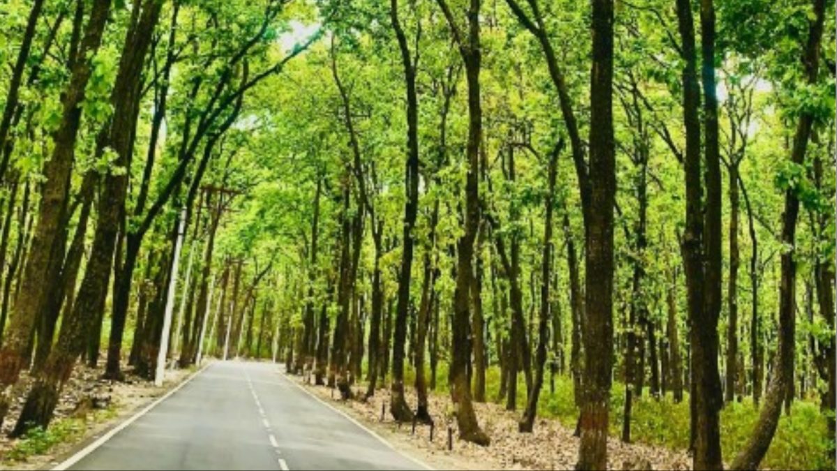 Supreme Court Acts on Uttarakhand Forest Land Encroachments