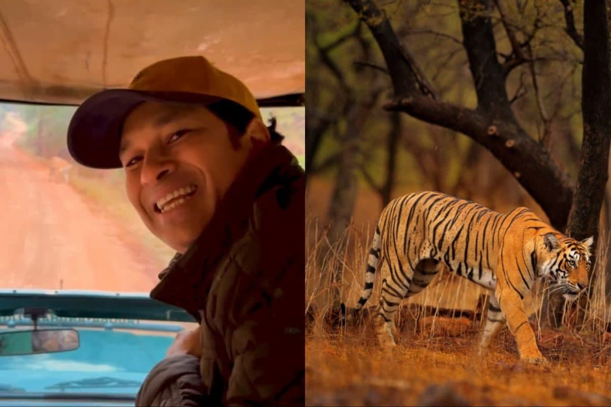 Sachin Tendulkar Trades Stadium Cheers For Jungle Calm At Tadoba Tiger Reserve