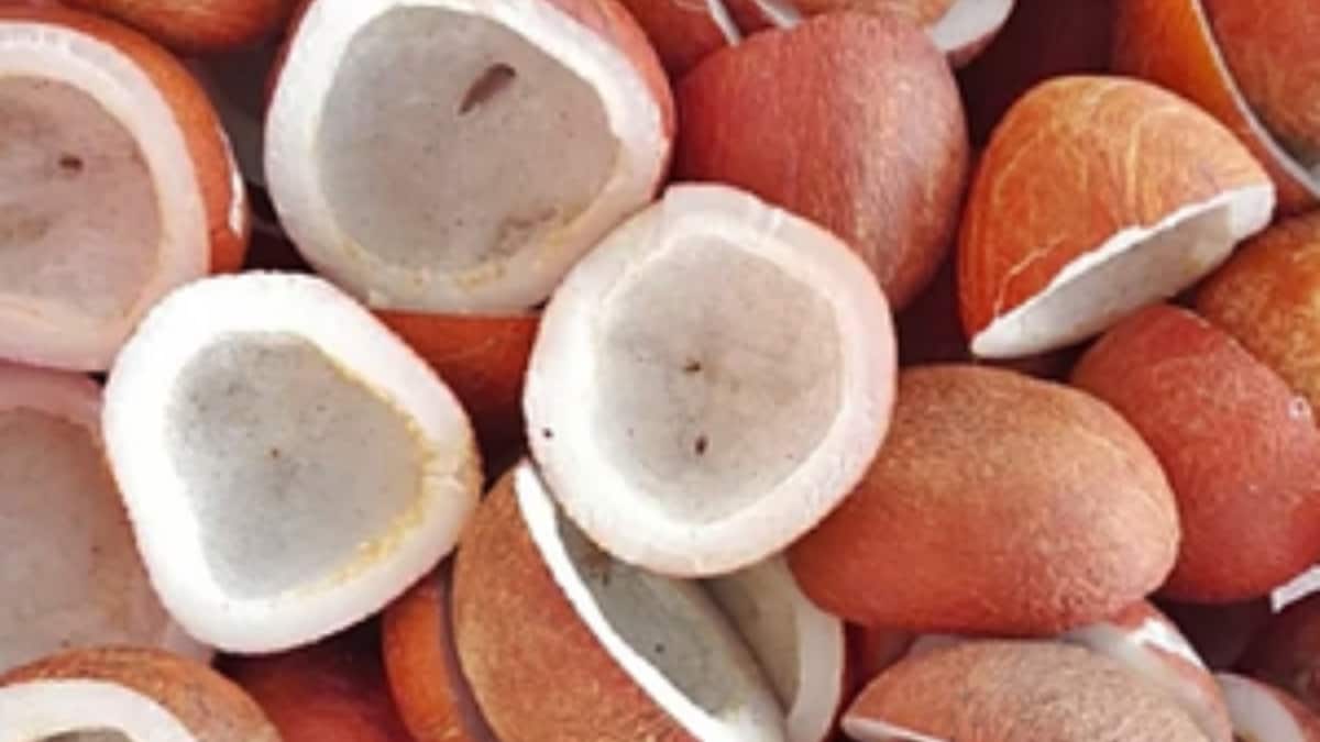 Cabinet Hikes Coconut MSP By Up To Rs 445 Per Quintal For 2026