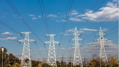 These conditions make certain pockets of the city more vulnerable to outages than others. Image: Canva