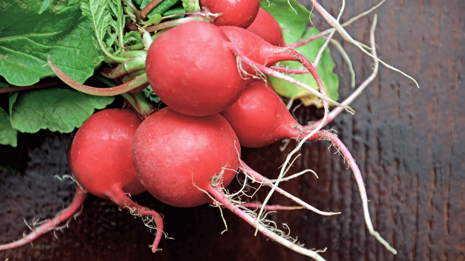Don’t Discard Radish Leaves: Surprising Health Benefits And Easy Winter Recipes