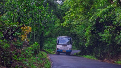 Kerala's 7 Best Hill Stations for Winter Road Trips