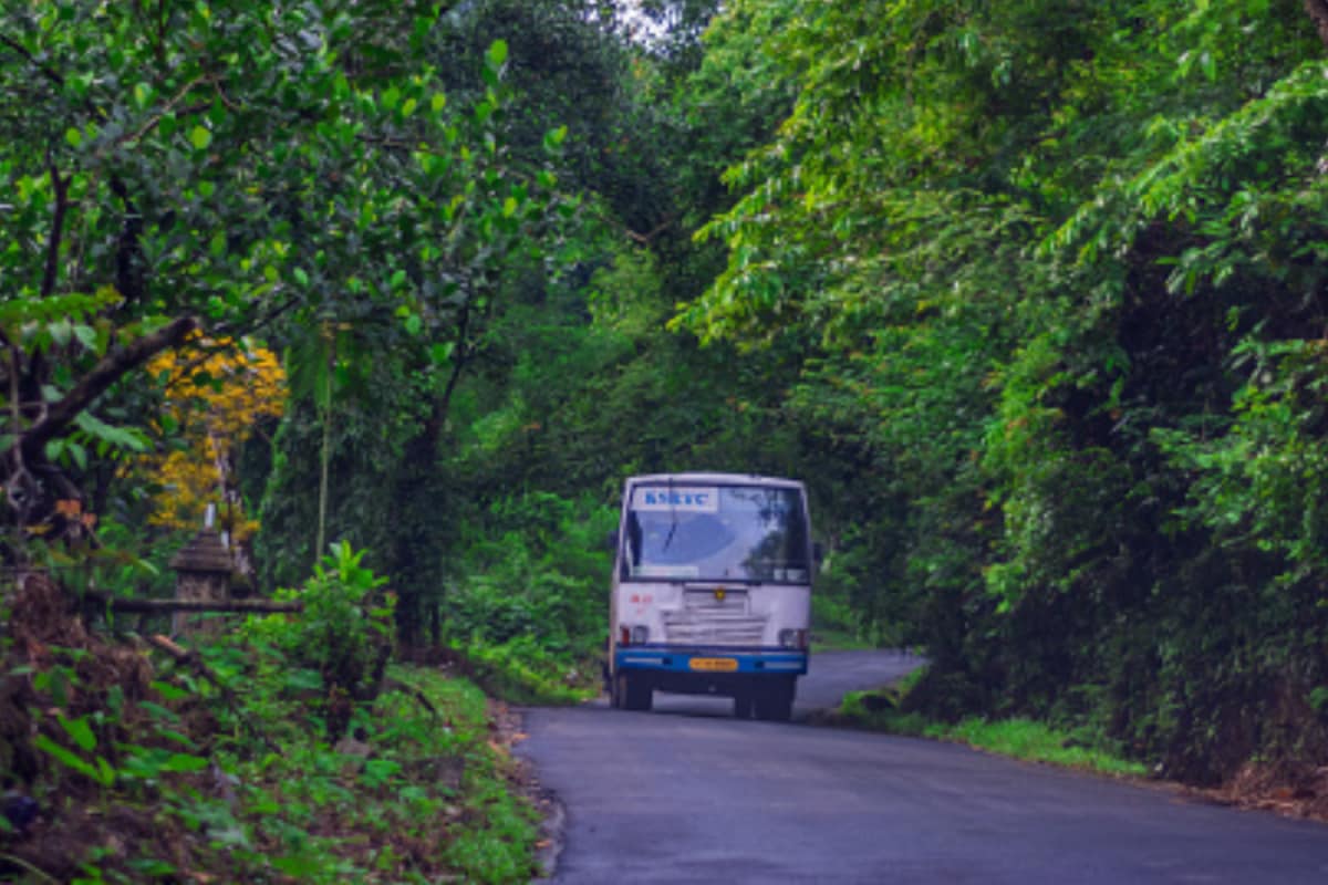 Winter Vacation In Kerala? These 7 Hill Stations Are Perfect For Road Trips