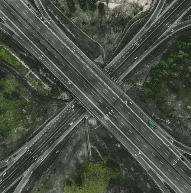 This state now has a colourful highway designed to protect wild animals from accidents. It aims to save hundreds of animals in the coming years. This state now has a colourful highway designed to protect wild animals from accidents. It aims to save hundreds of animals in the coming years.
