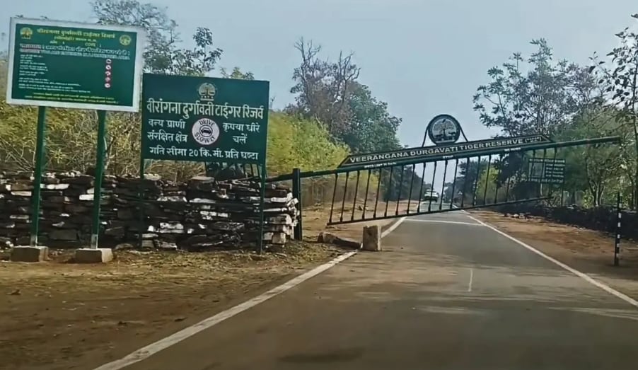 The highway, in Madhya Pradesh, runs through the Veerangana Durgavati Tiger Reserve. It also cuts across the Nauradehi Wildlife Sanctuary. The highway, in Madhya Pradesh, runs through the Veerangana Durgavati Tiger Reserve. It also cuts across the Nauradehi Wildlife Sanctuary.