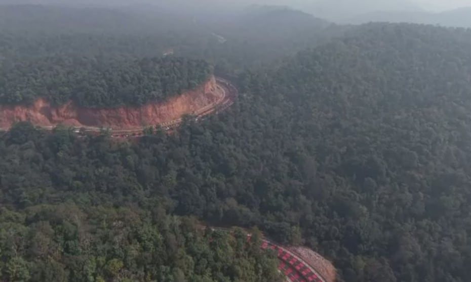 Animals like jackals and deer often crossed this busy road earlier. Many of them suffered accidents because vehicles moved at high speed. Animals like jackals and deer often crossed this busy road earlier. Many of them suffered accidents because vehicles moved at high speed.