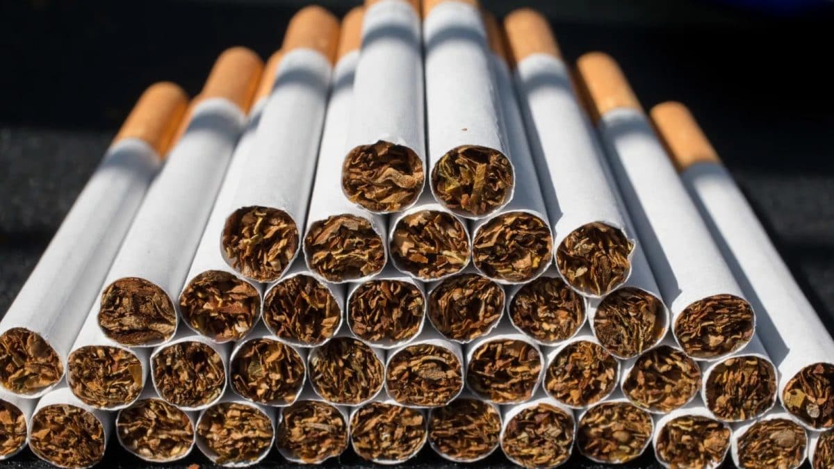 where to buy bulk tobacco Buy Southern Steel Tobacco 16-oz Mellow Online