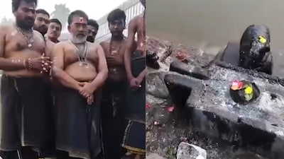 A visual from the site 