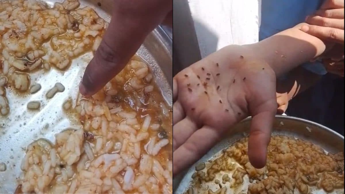 Worms Found In Midday Meal At Karnataka Govt School, Parents Demand Action