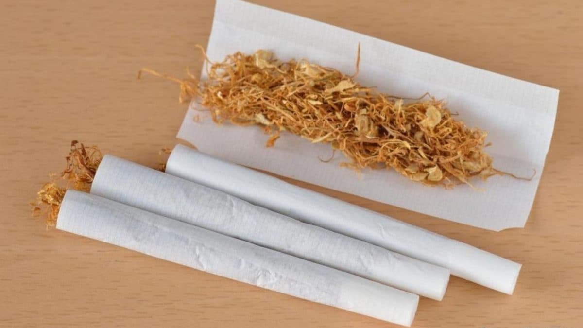 Gujarat Govt Bans Sale Of Rolling Papers, Pre-Rolled Smoking Cones