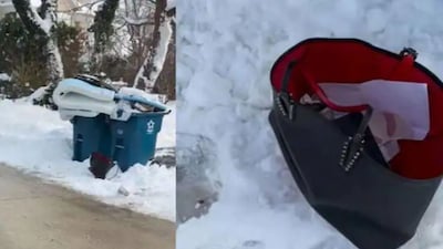 पॉश इलाके के कचरे में मिला लग्जरी खजाना; इंटरनेट हैरान, Christian Louboutin बैग फेंका गया.