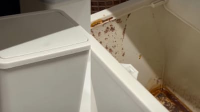 The incident took place inside a well-known DIY store in Kanpur. (Photo Credit: Instagram)