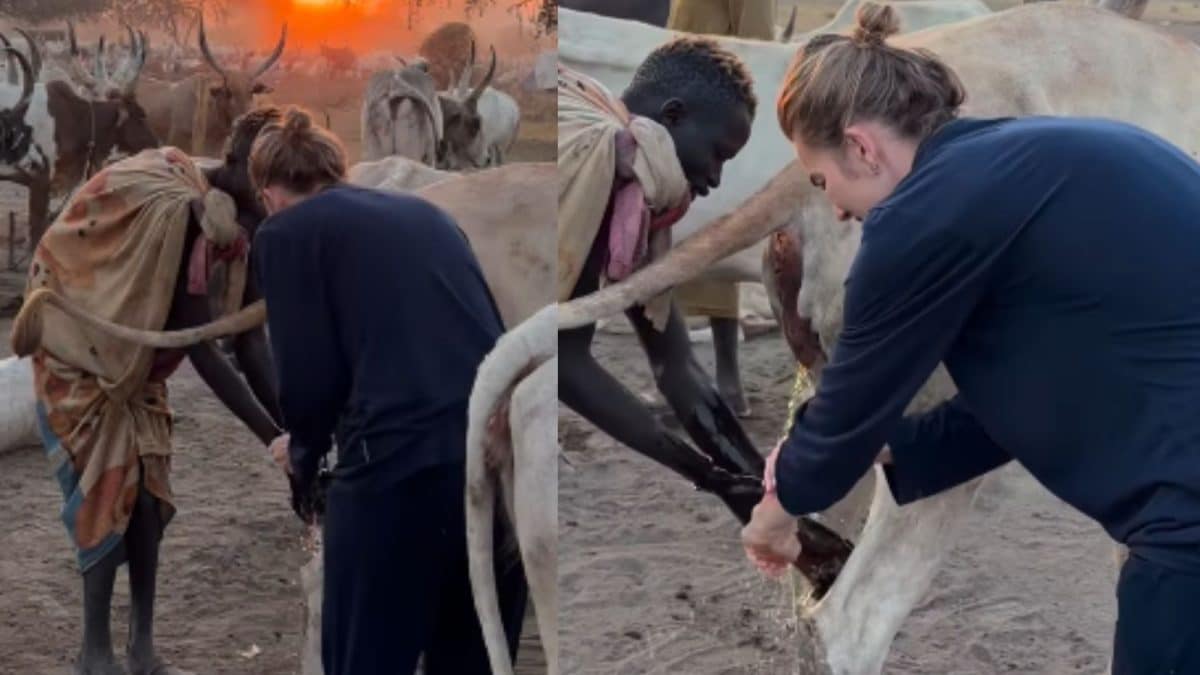Traveller Uses Cow Urine as Antiseptic, Insect Repellent in South Sudan