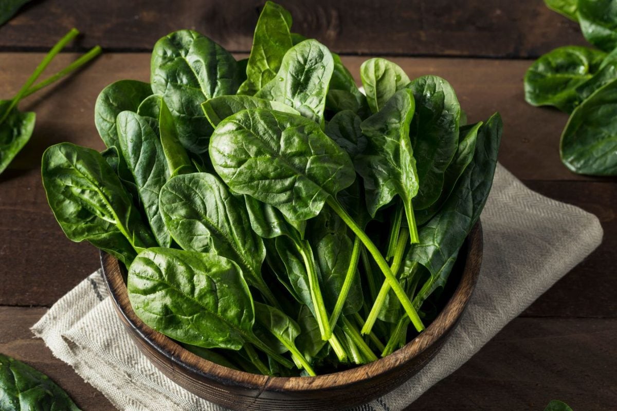 Palak Delights: Iconic Indian Spinach Recipes For Cold Winter Days