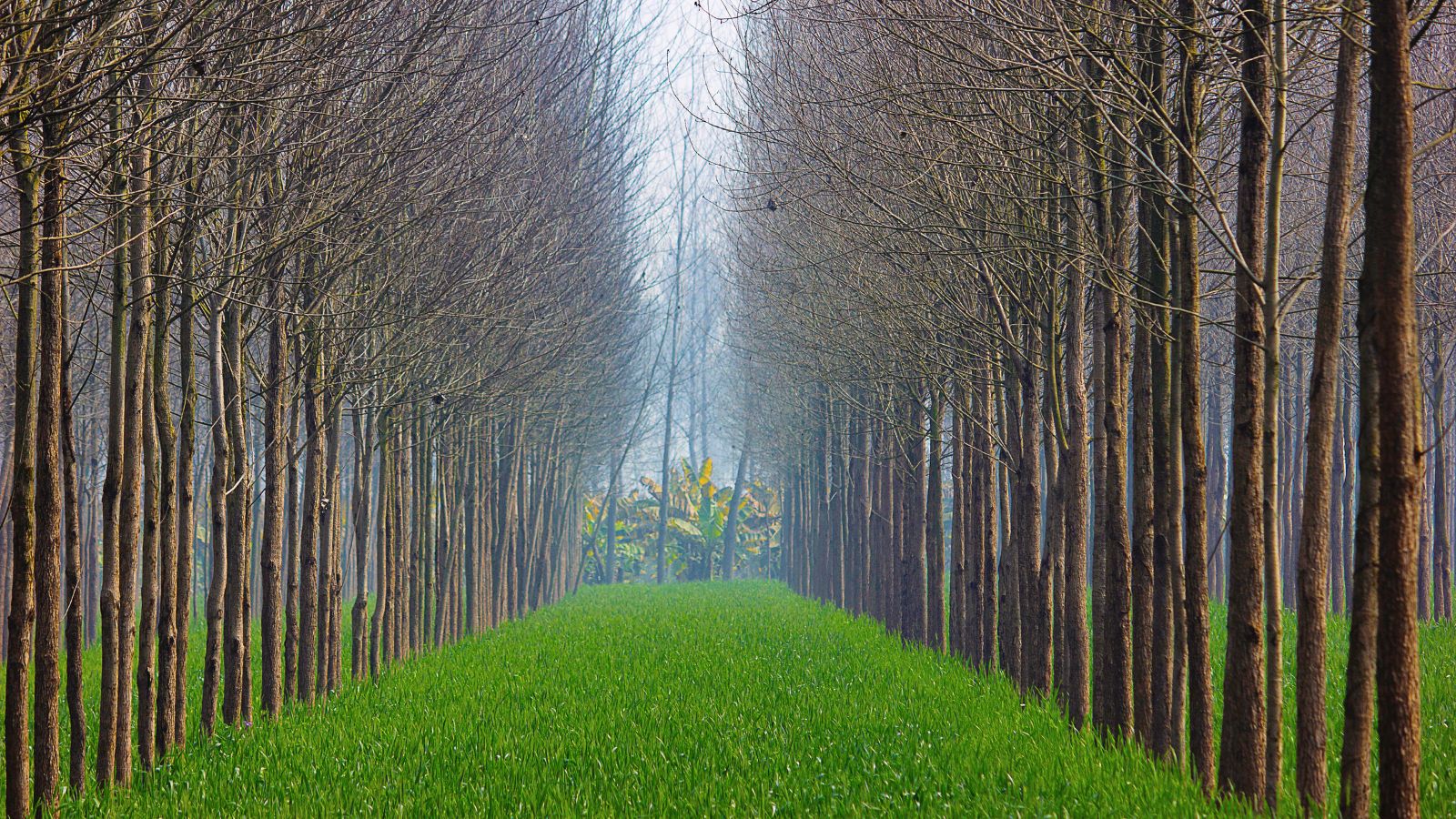 GK: Which State Is Called The Sugar Bowl Of India?