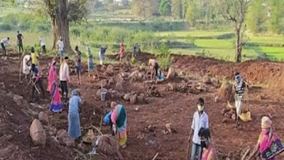 Since FY15, the cumulative budgetary allocation to MGNREGA has reached Rs 8.64 lakh crore, about 3.6 times that of the UPA period.