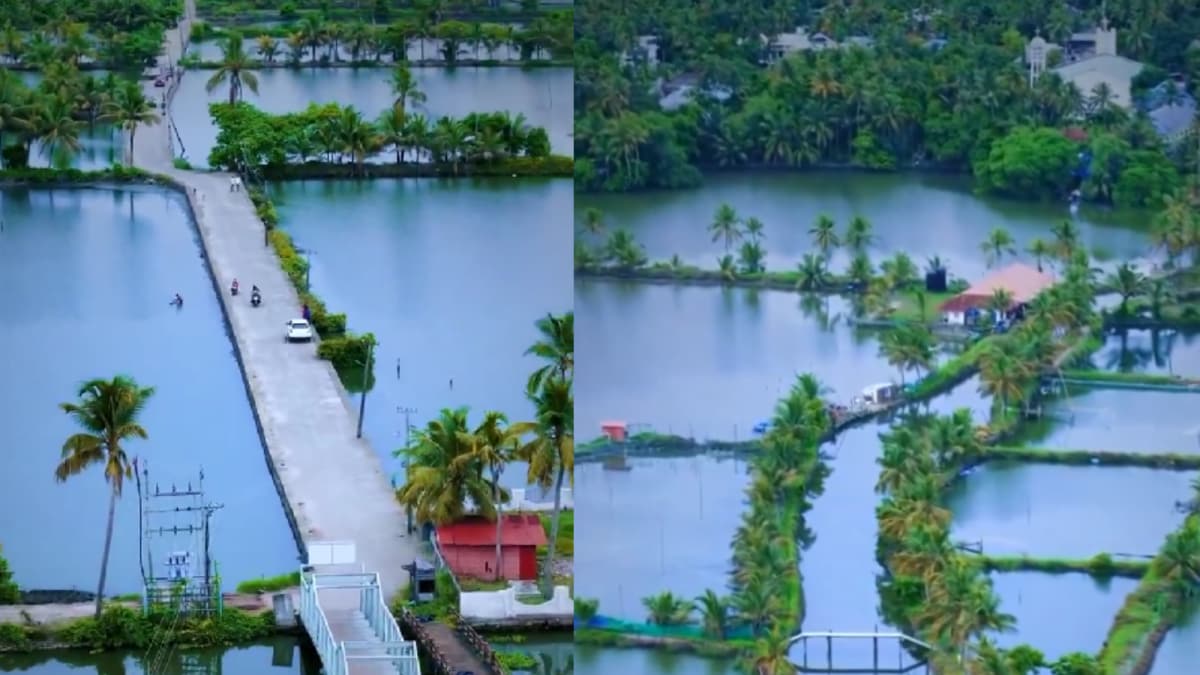 Anand Mahindra Visits Kadamakudy, Calls It Recalibrating