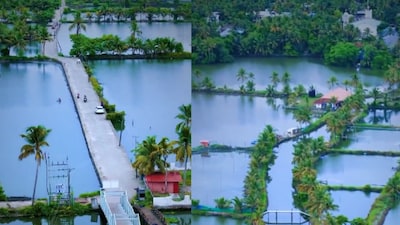 Anand Mahindra drove his own Thar into the postcard-perfect paradise, Kadamakudy. (Image: X/@anandmahindra)