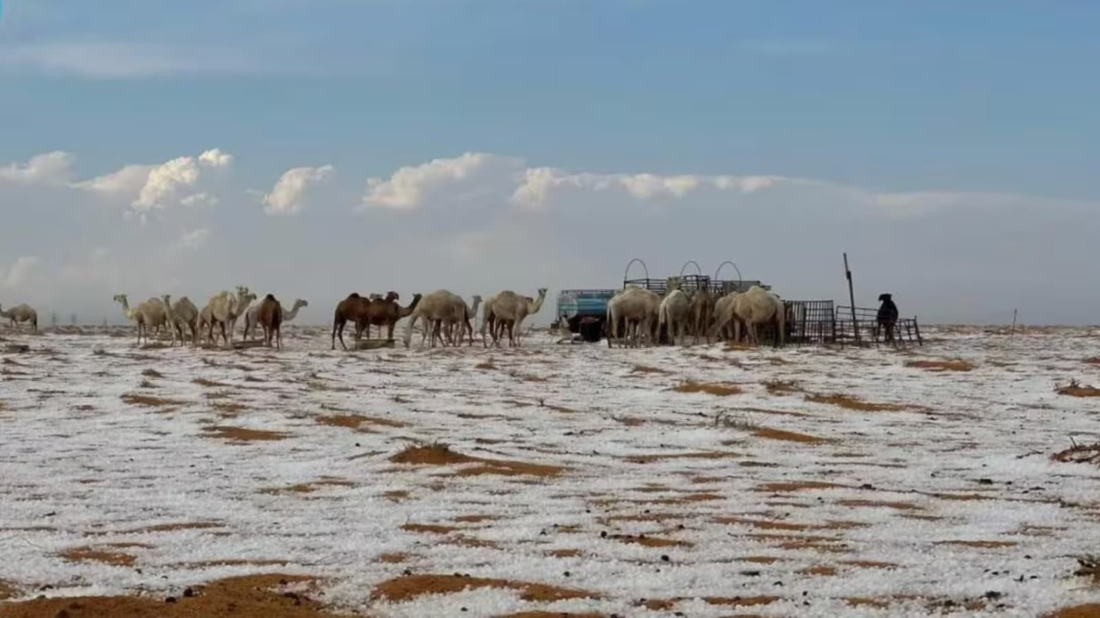 Al-Jawf, na Arábia Saudita, fez história depois que a região supostamente recebeu nevascas pela primeira vez. Os moradores locais estão emocionados e descreveram a visão como incomum. Áreas como a cidade de Sakaka e a província de Dumat Al-Jandal ficaram cobertas de neve por algum tempo. 
