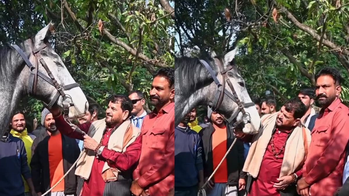 Riding High: Brij Bhushan's Birthday Gift, A Rs 1.25-Crore Racehorse, Steals Spotlight In Gonda