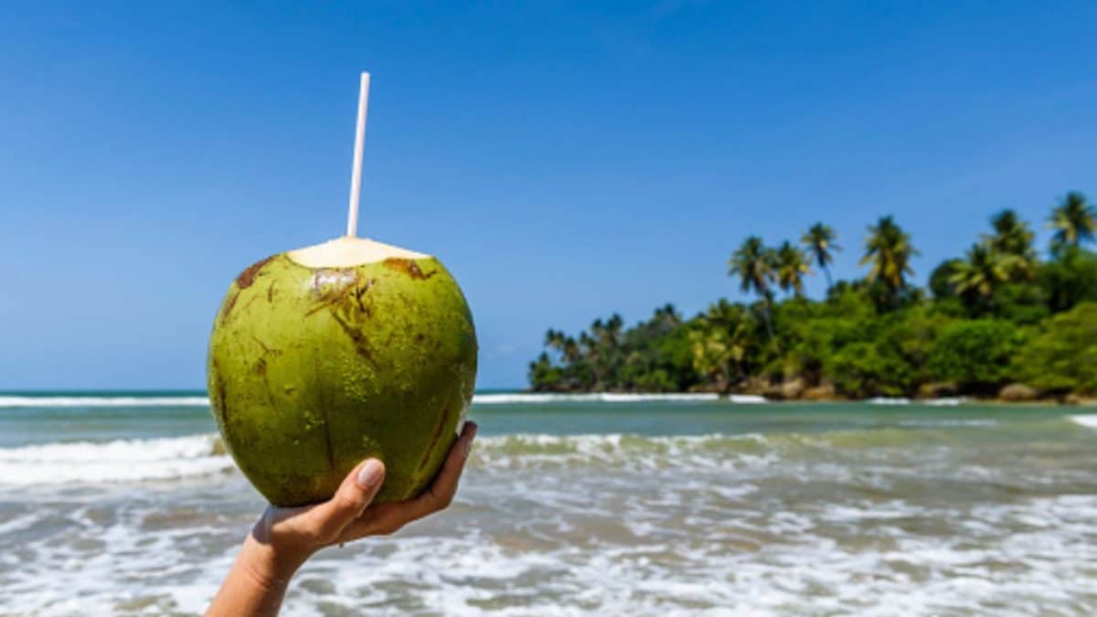 Why Coconut Water Is Not For Everyone; Who Should Avoid This ‘Healthy’ Drink