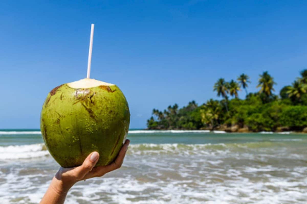 Why Coconut Water Is Not For Everyone; Who Should Avoid This ‘Healthy’ Drink