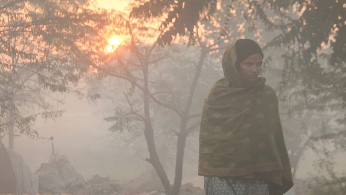 Chilly Mornings And Mist Expected In Bengaluru This Week, IMD Warns Of Cold Wave | Bengaluru-news News Chilly Mornings And Mist Expected In Bengaluru This Week, IMD Warns Of Cold Wave | Bengaluru-news News