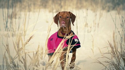 When cold hits, ensure your pets have a warm space to relax