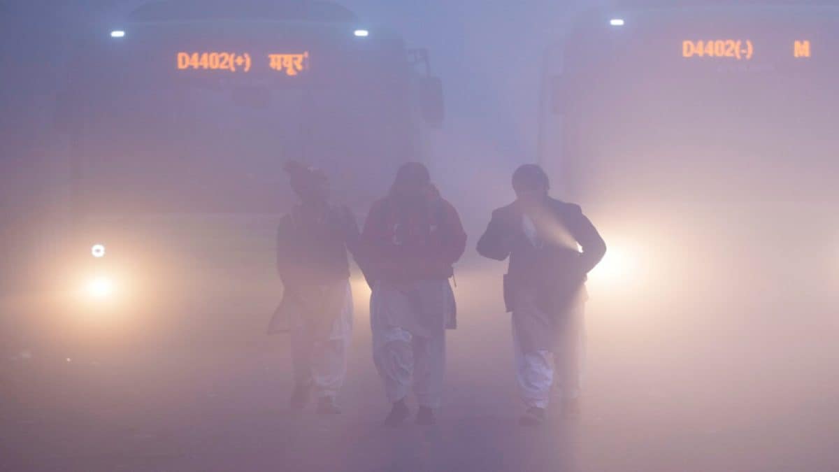 Red Alert In Delhi As Dense Fog Reduces Visibility; Over 140 Flights Cancelled, Trains Affected | India News Red Alert In Delhi As Dense Fog Reduces Visibility; Over 140 Flights Cancelled, Trains Affected | India News