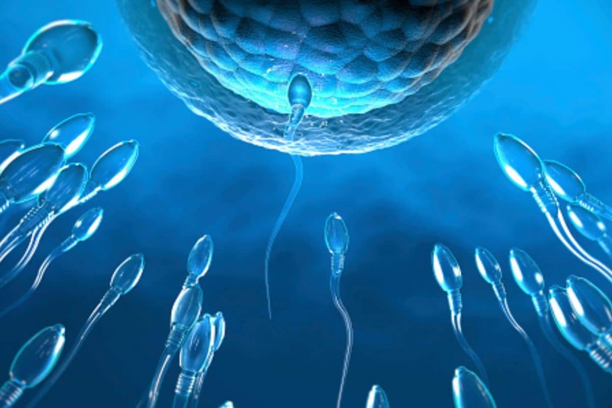 Trying For A Baby? How Holiday Habits May Be Affecting Fertility; What Couples Should Know