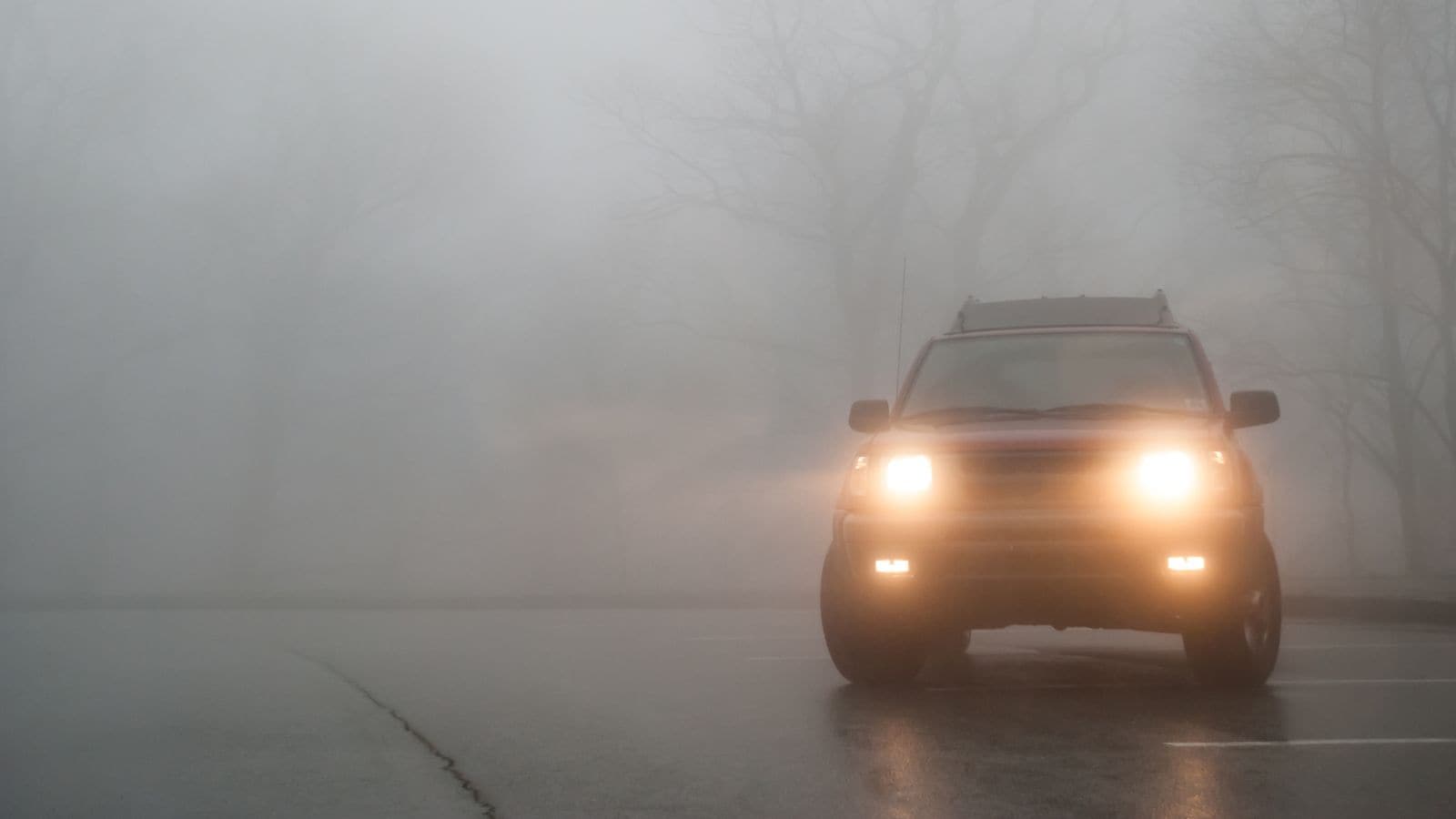 Driving Through Delhi’s Fog? Dos And Don’ts For Safe Travel