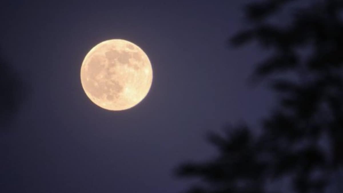 Do This 5-Minute Ritual Tonight When You See The Last Supermoon Of 2025 ...