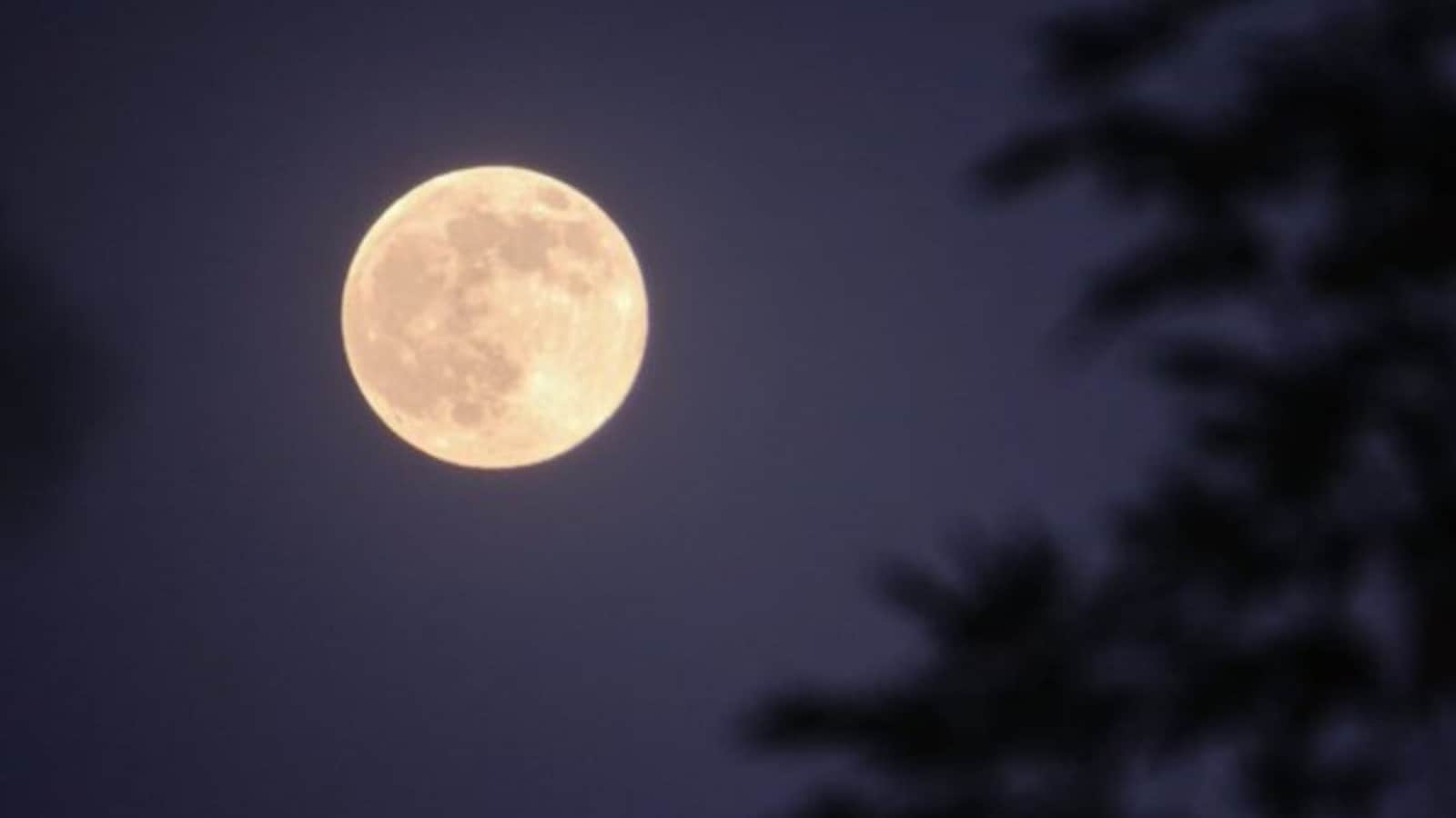 The supermoon will be most visible after 8 pm, and it will shine at its peak around midnight.