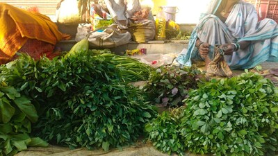 Madhya Pradesh’s Balaghat markets feature five rare winter vegetables: Lakhouri, chaulai greens, red amaranth, mustard greens, and chickpea shoots. (Local18)
