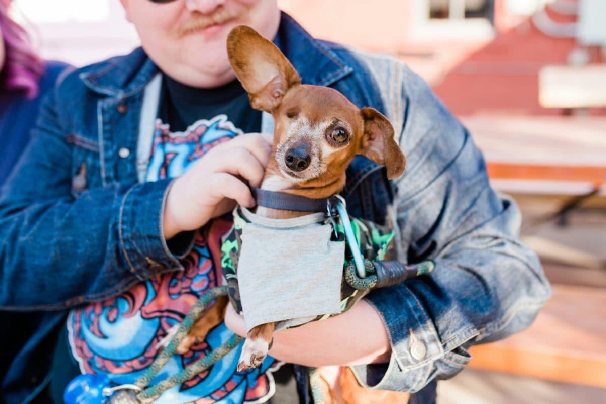 Looking To Give Back This Christmas? Here's 4 Places You Can Be Secret Santa For