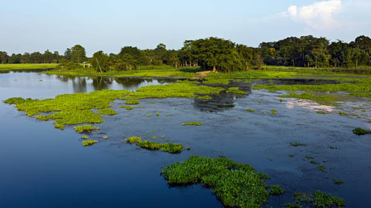 The World's Largest River Island Is In India