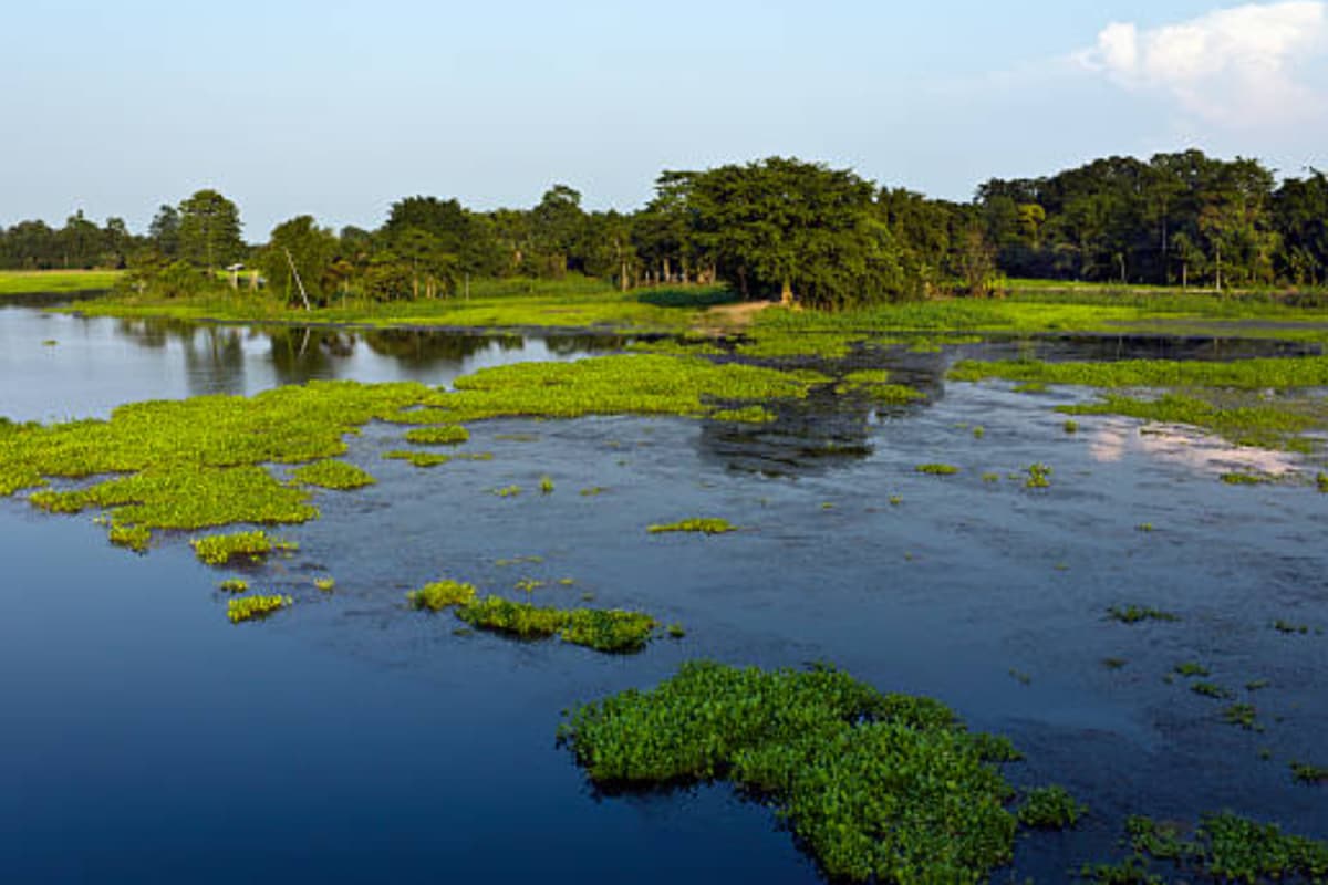 The World's Largest River Island Is In India