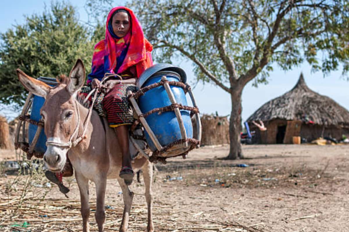 7 Countries With Highest Modern Slavery