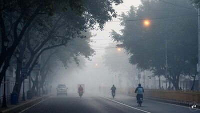 Bengaluru May Record Its Coldest December Since 2016. IMD Warns Of Sharp Temperature Drop