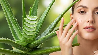 Top 10 Natural Ingredients That Can Transform Your Skin