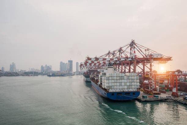 For thousands of years, Sri Lanka lay at the heart of major sea routes connecting Asia, the Middle East, and Europe. Its ports drew traders for spices, cinnamon, gems, and even elephants, giving the island lasting global significance and recognition. For thousands of years, Sri Lanka lay at the heart of major sea routes connecting Asia, the Middle East, and Europe. Its ports drew traders for spices, cinnamon, gems, and even elephants, giving the island lasting global significance and recognition.