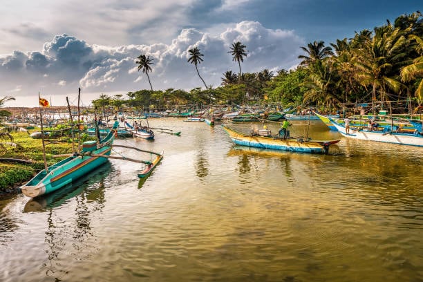 Sri Lanka earned this title due to its shape, shine, and natural richness that resemble a rare pearl set in the vast blue Indian Ocean. Sri Lanka earned this title due to its shape, shine, and natural richness that resemble a rare pearl set in the vast blue Indian Ocean.