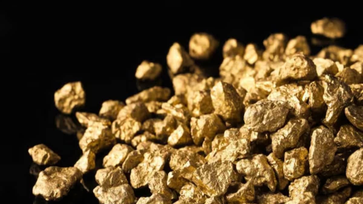 Gold And Lithium Found In Karnataka, Yet Mining Stalled. Here’s The Reason Why