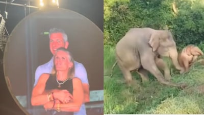 Here’s a look at the videos that captured the Internet’s attention this year. (Photo Credits: X)