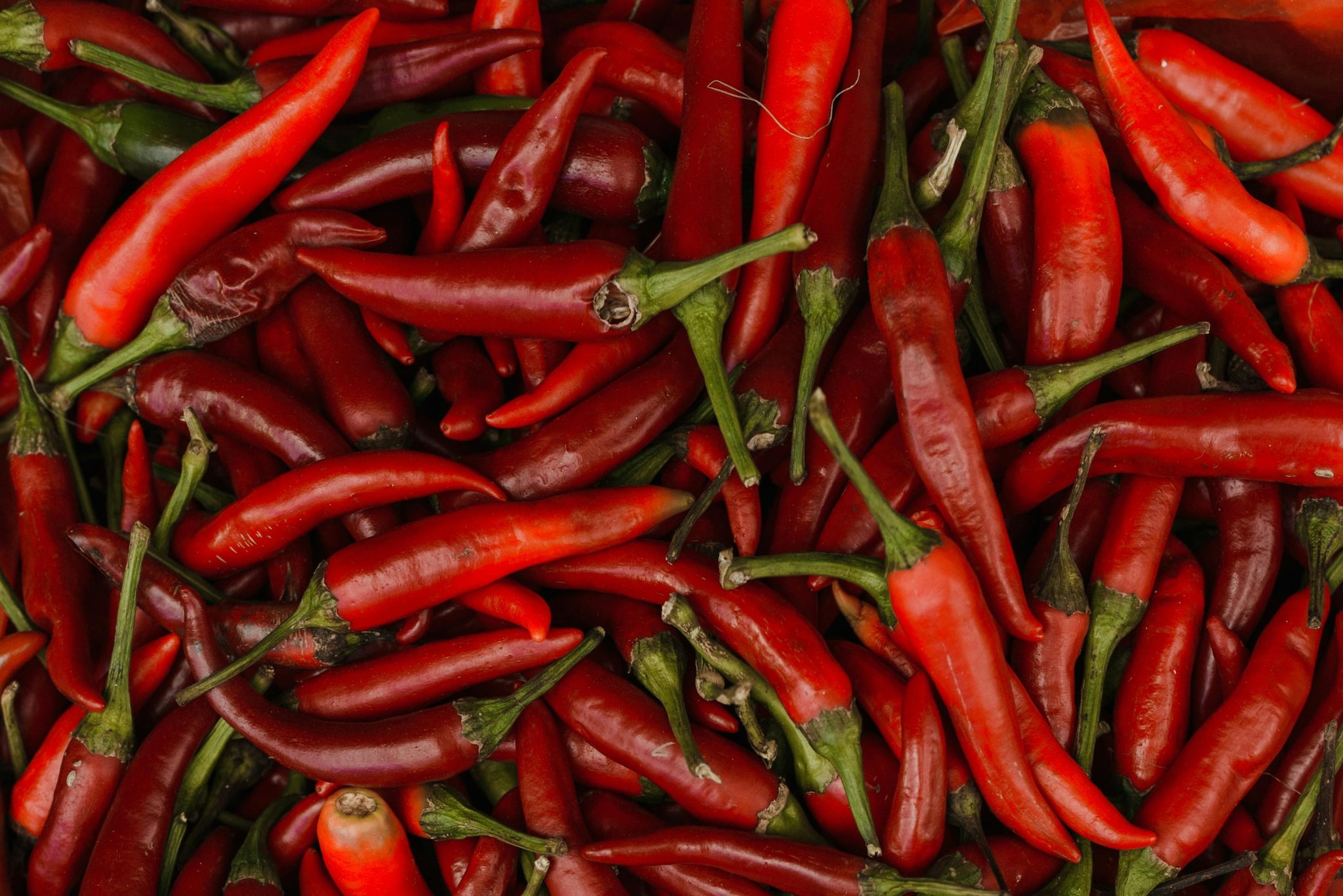Chili Peppers: It contain capsaicin, a compound that stimulates heat production in the body. Eating them can raise body temperature and improve circulation, keeping you warm instantly. Add chili flakes to soups, stews, or curries for a fiery punch that also boosts metabolism and immunity during cold months.