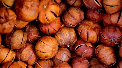 Water chestnuts are a healthy addition to your winter diet.