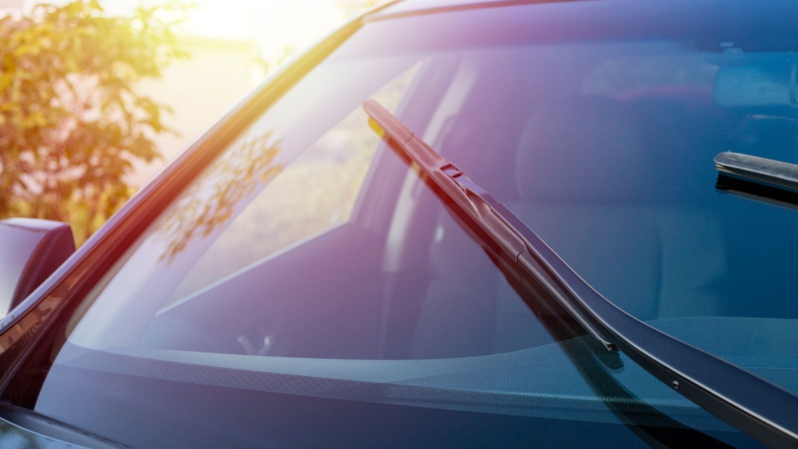 Driving Through Delhi’s Fog? Dos And Don’ts For Safe Travel