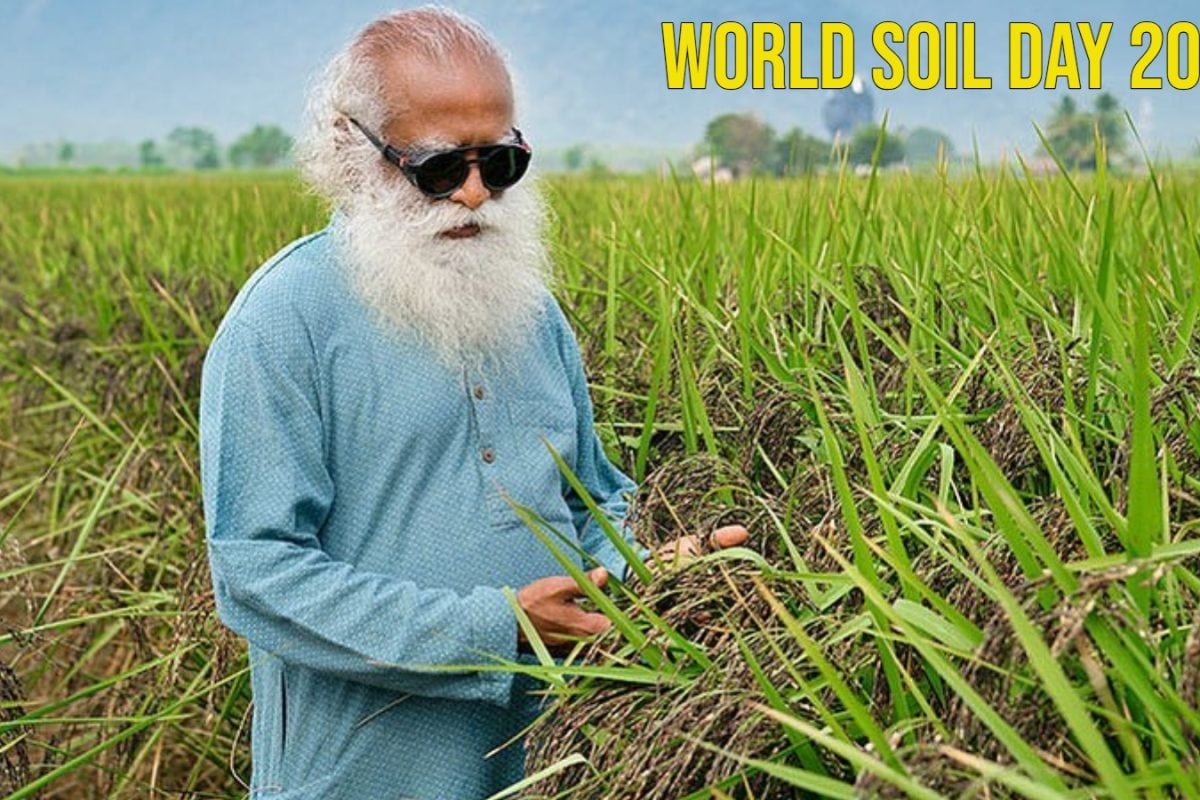 World Soil Day 2025: Theme, History And 10 Powerful Quotes By Sadhguru