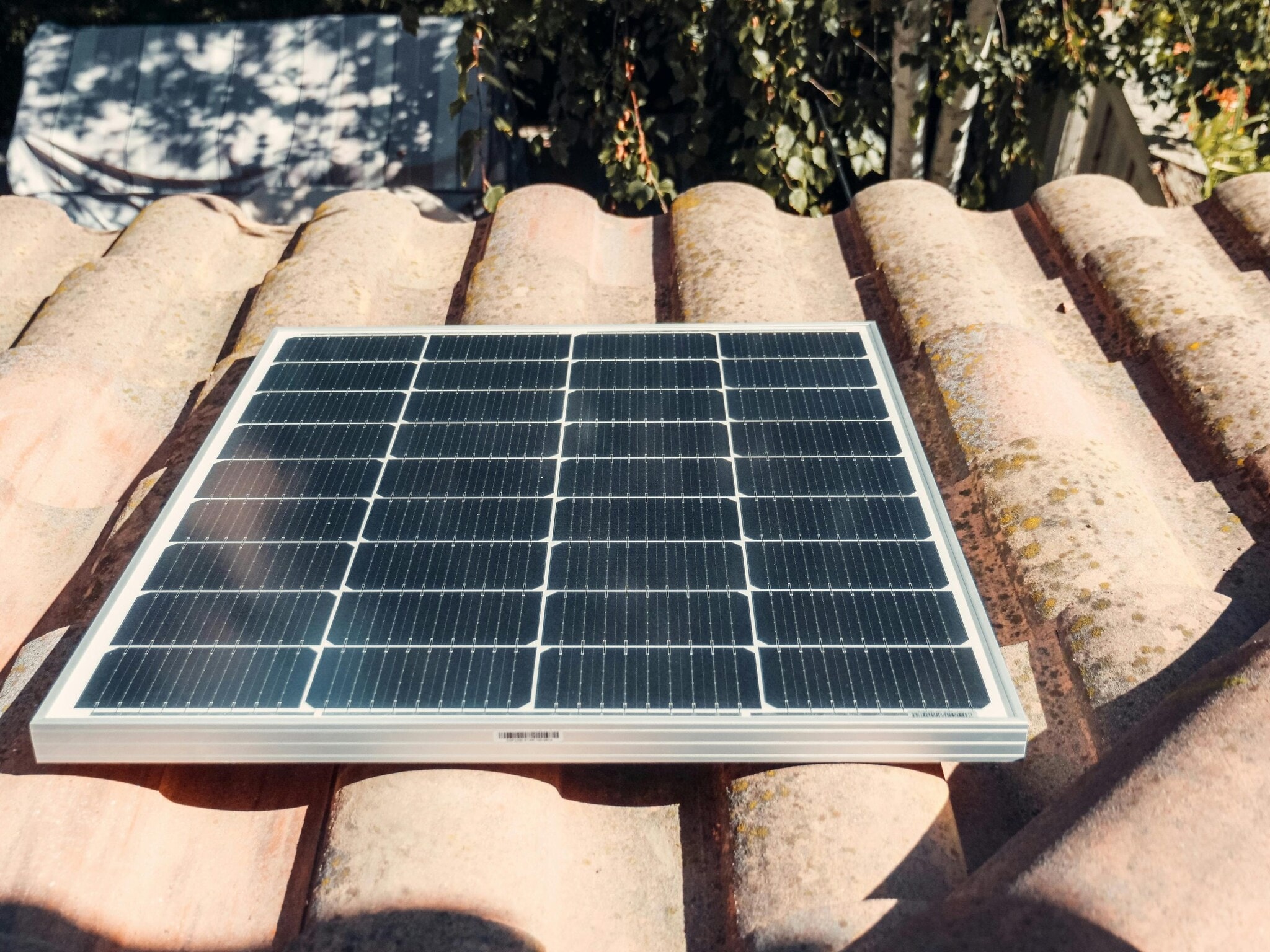 Andhra Pradesh Government Pushes PM Surya Ghar Rooftop Solar Drive ...