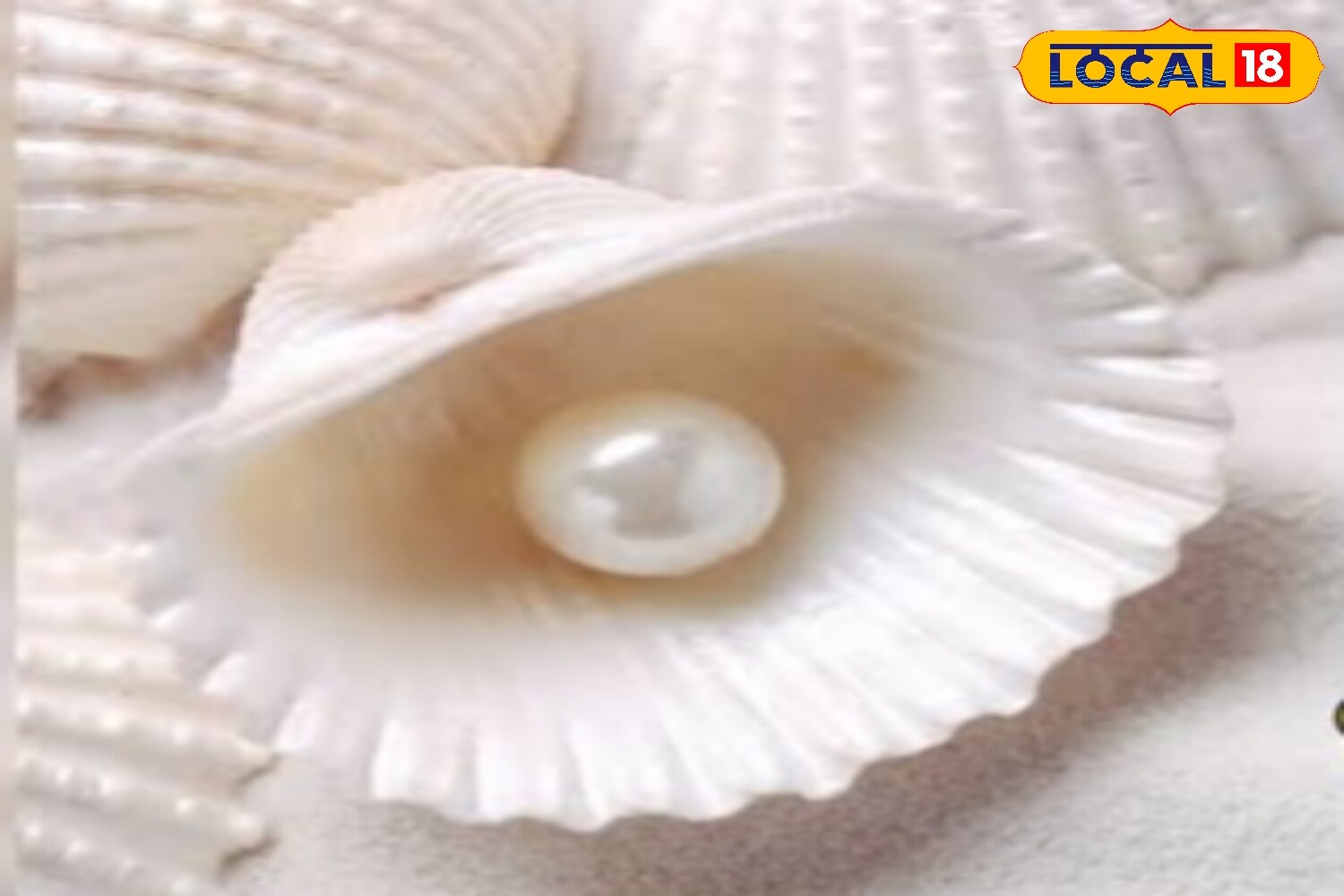 उन्होंने कहा कि गर किसी व्यक्ति की कुंडली में चंद्रमा कमजोर हो या चंद्र दोष हो, तो मोती पहनना बेहद लाभकारी माना गया है. विशेषकर जिन लोगों को चिंता, डिप्रेशन, भय और अनिद्रा जैसी समस्याएं हों, उनके लिए मोती धारण करना शुभ फल देता है.